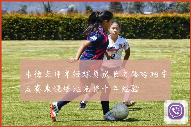 韦德点评年轻球员成长之路哈珀季后赛表现堪比老将十年经验